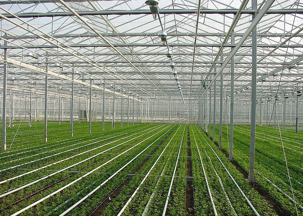 �㽭ˇ���r(n��ng)ˇ�^��@-���ҽ��O(sh��)